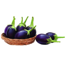 Egg Plant Seed